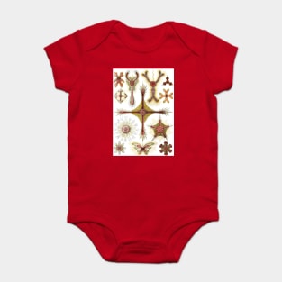 Wild Chamomile by Ernst Haeckel Baby Bodysuit